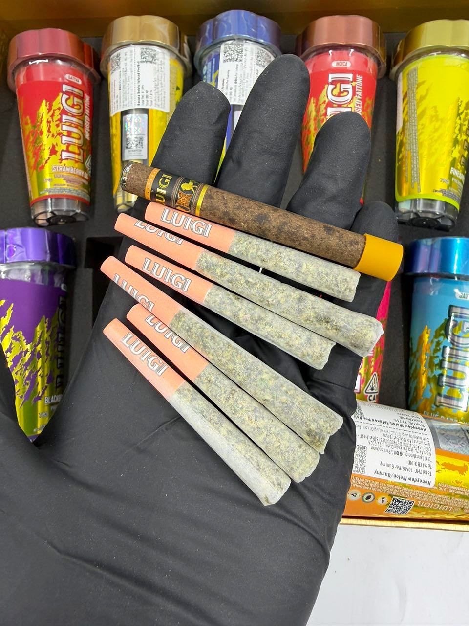 luigi fatton pre rolls luigi fatton pre rolls