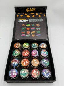 auto draft