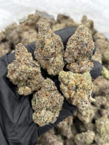 Ghost Breath Weed Strain ghost breath weed strain