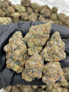 Biscotti Weed Strain biscotti weed strain