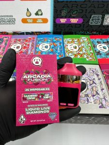 arcadia fusion dual 2g disposable x-ray edition arcadia fusion dual 2g disposable x-ray edition